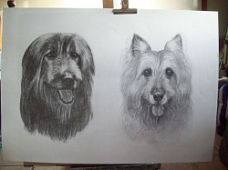 Pencil drawing